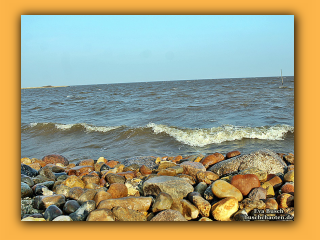 Hvide Sande  (6).jpg